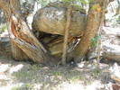 photo thumbnail #5
