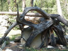 photo thumbnail #8