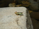 photo thumbnail #13
