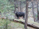photo thumbnail #14