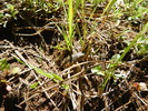 photo thumbnail #15