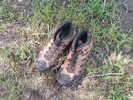 photo thumbnail #2