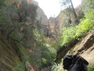 photo thumbnail #13