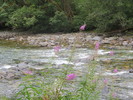 photo thumbnail #12