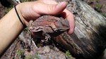 photo thumbnail #2