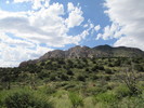 photo thumbnail #8
