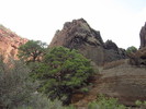photo thumbnail #3