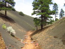 photo thumbnail #11