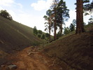photo thumbnail #13