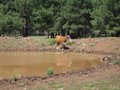 photo thumbnail #6