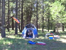 photo thumbnail #11