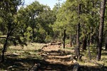 photo thumbnail #3
