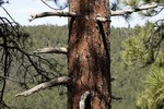 photo thumbnail #5