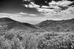 photo thumbnail #13
