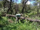 photo thumbnail #2