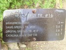 photo thumbnail #4