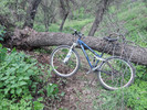 photo thumbnail #1
