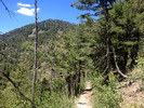 photo thumbnail #4