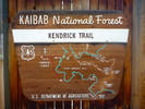 Featured Detail Photo