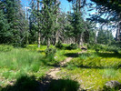 photo thumbnail #7