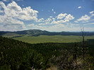 photo thumbnail #7