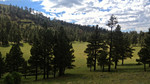 photo thumbnail #10