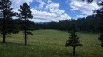 photo thumbnail #7