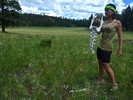 photo thumbnail #8
