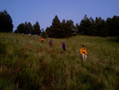 photo thumbnail #13