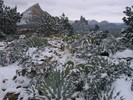 photo thumbnail #9