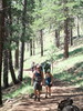 photo thumbnail #3