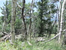 photo thumbnail #12