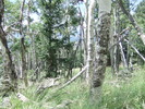 photo thumbnail #13