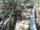 photo thumbnail #14