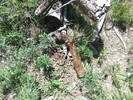 photo thumbnail #15