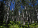 photo thumbnail #10