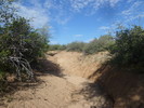 photo thumbnail #4