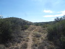 photo thumbnail #10
