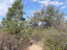photo thumbnail #11