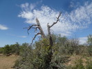 photo thumbnail #12