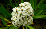 photo thumbnail #10