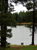 photo thumbnail #13