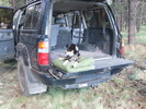 photo thumbnail #3