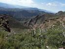 photo thumbnail #1