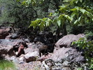 photo thumbnail #7