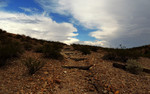 photo thumbnail #7