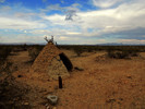 photo thumbnail #8