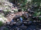 photo thumbnail #5