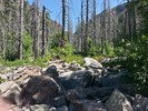photo thumbnail #7