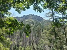 photo thumbnail #10